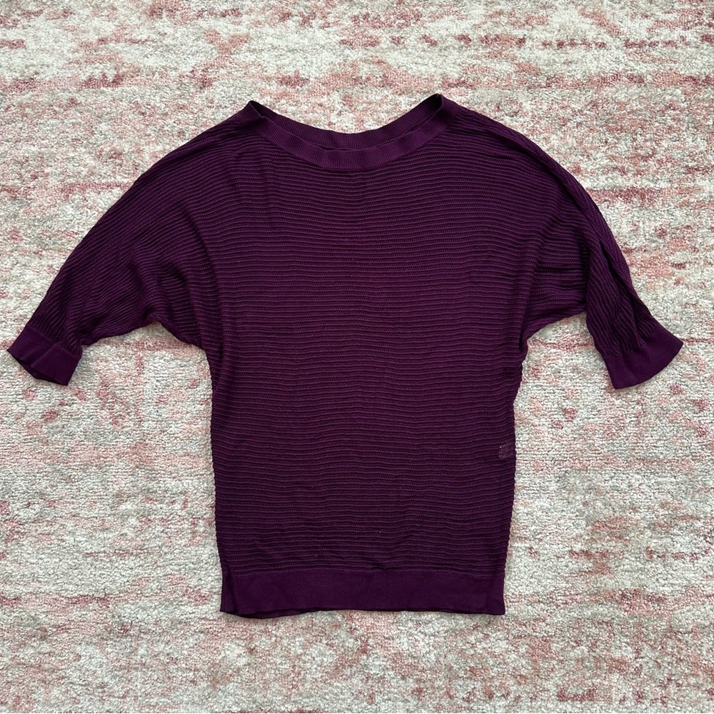Express Mesh Dolman Sweater